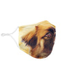 Tibetan spaniel Print Face Mask