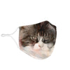 Maine Coon Print Face Mask -Limited Edition