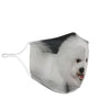 Bichon Frise Print Face Mask