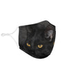 Bombay Cat On Black Print Face Mask