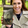 African grey parrot Print women's Leather Wallet