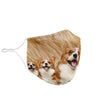 Lovely Pembroke Welsh Corgi Print Face Mask