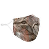 Lovely European Shorthair Print Face Mask