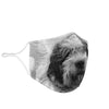 Spanish Water Dog Print Face Mask