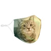 Cute European Shorthair Print Face Mask