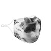 Japanese Bobtail Print Face Mask