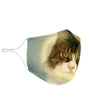 Cute Maine Coon Cat Print Face Mask