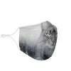 Somali Cat Print Face Mask- Limited Edition