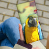 Lovely Catalina Macaw Print Women's Leather Wallet