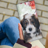 Lovely Bernedoodle Dog Print Women's Leather Wallet