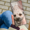 Lovely Border Terrier Print Women's Leather Wallet